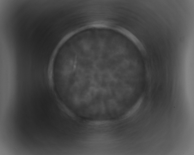 X0000100841240200807070926