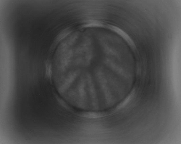 X0000100841241200807070926