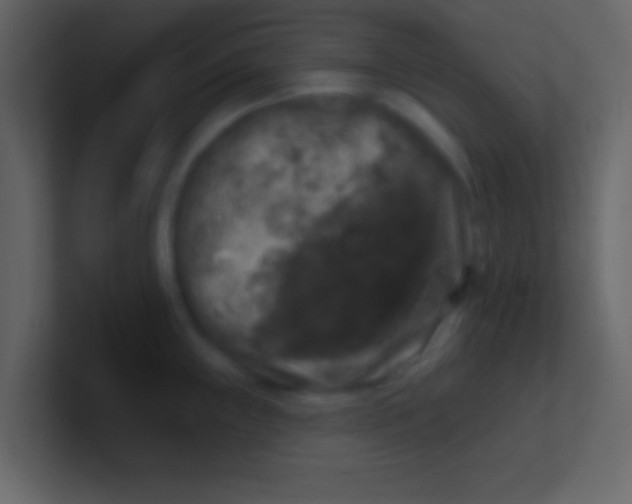 X0000100841243200807070926