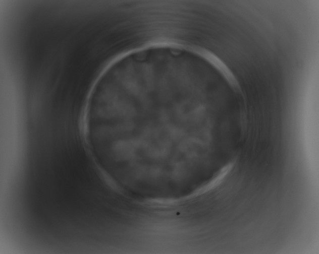 X0000100841244200807070926