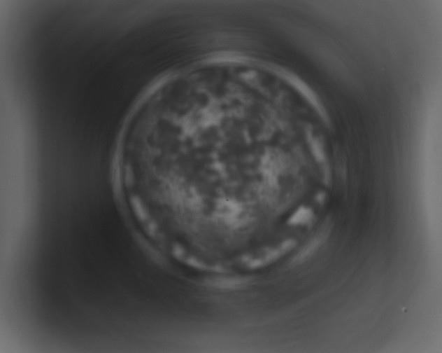 X0000100841245200807070926