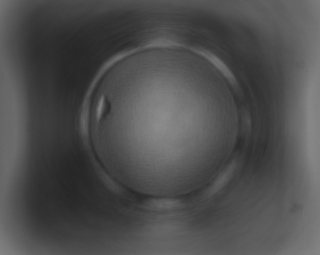 X0000100841246200807070926