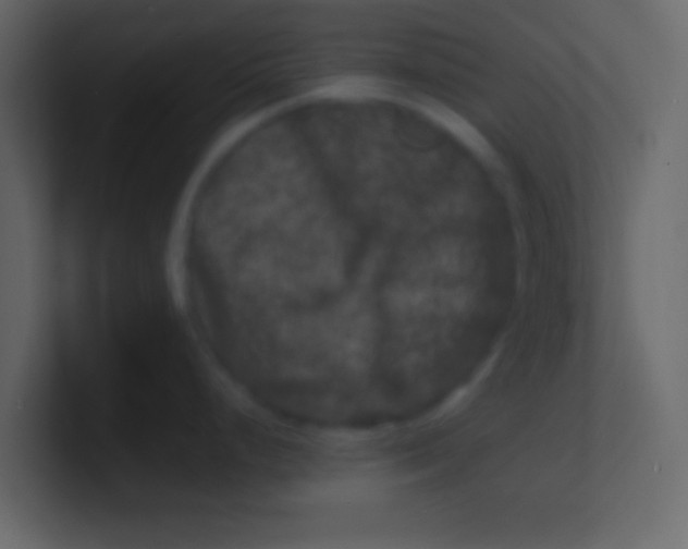 X0000100841248200807070926