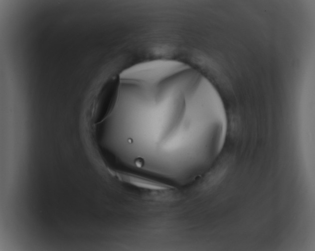 X0000100841249200807070926