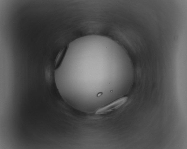 X0000100841250200807070926