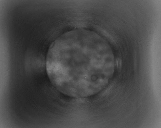 X0000100841251200807070926