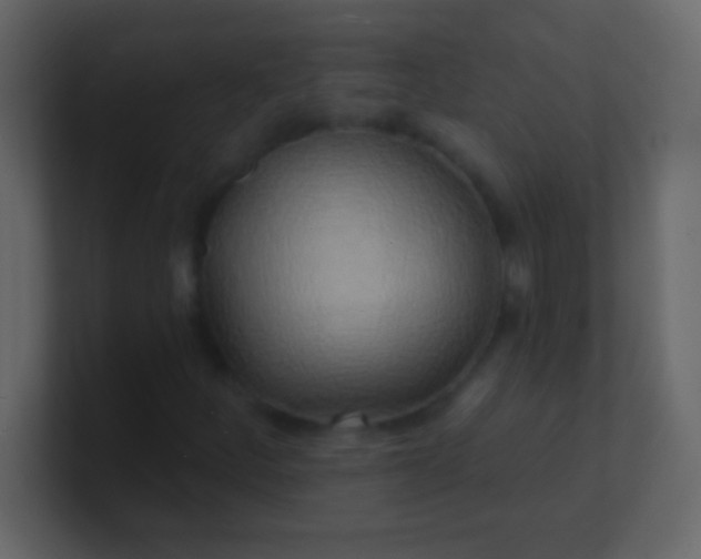 X0000100841252200807070926