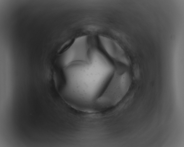 X0000100841253200807070926