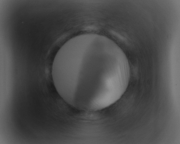 X0000100841254200807070926