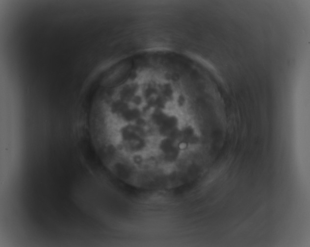 X0000100841255200807070926