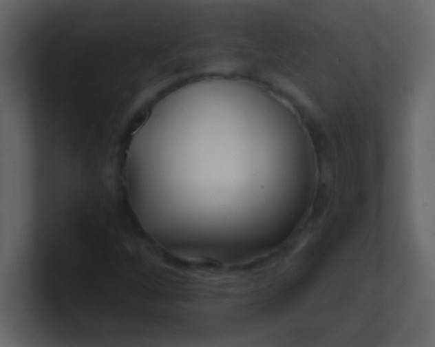 X0000100841256200807070926