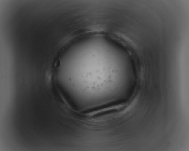 X0000100841257200807070926