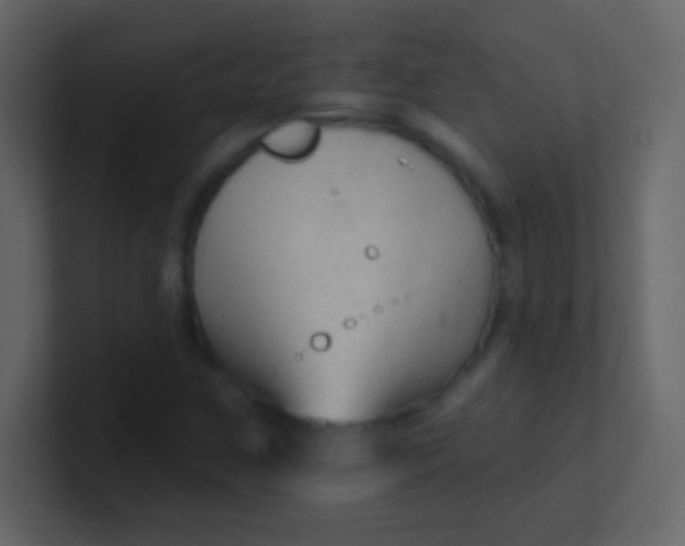 X0000100841259200807070926