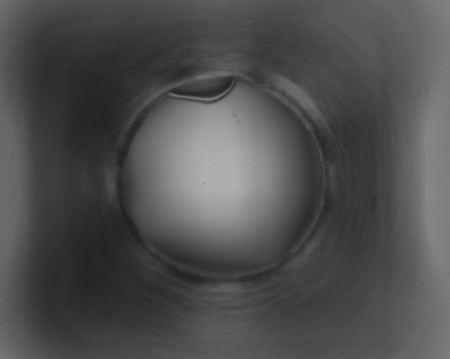 X0000100841260200807070926