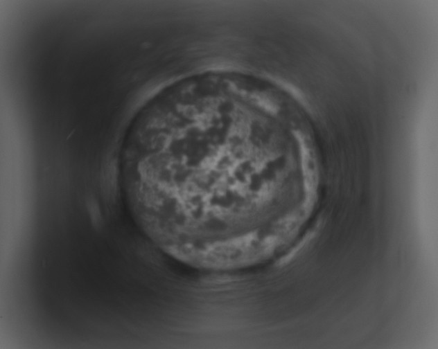 X0000100841263200807070926