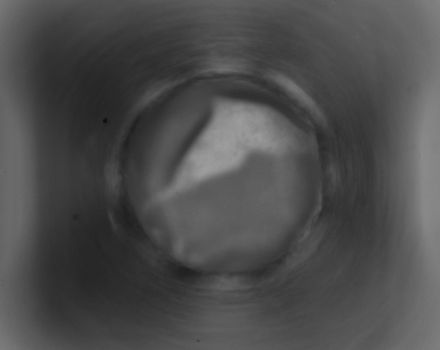 X0000100841266200807070926