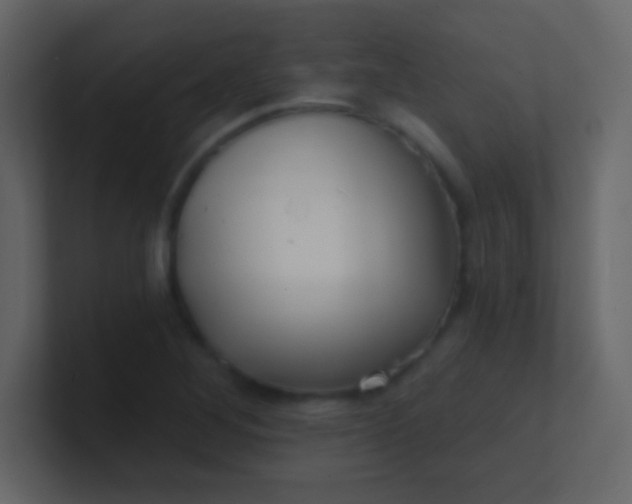 X0000100841268200807070926