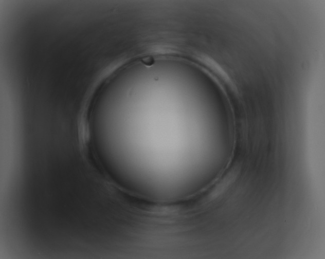 X0000100841269200807070925