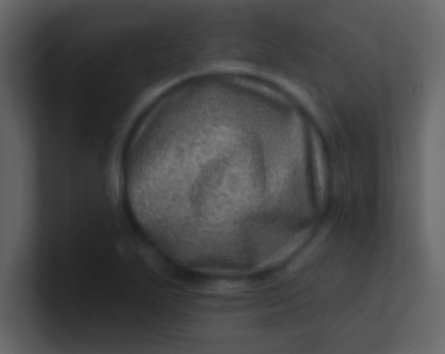 X0000100841271200807070925