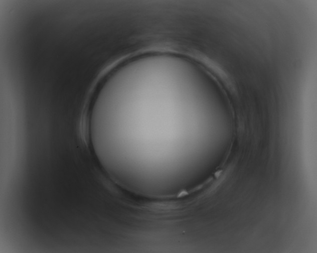 X0000100841272200807070925