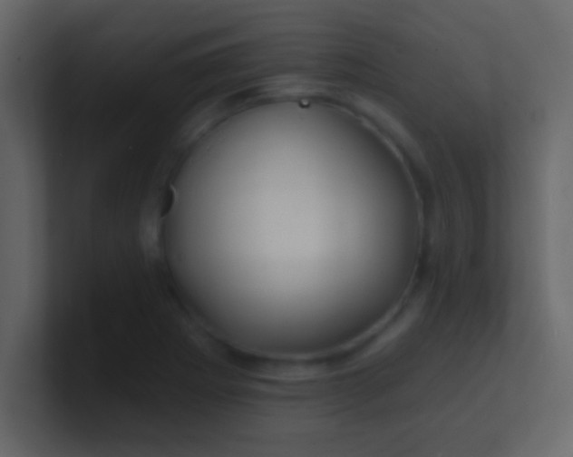 X0000100841273200807070925