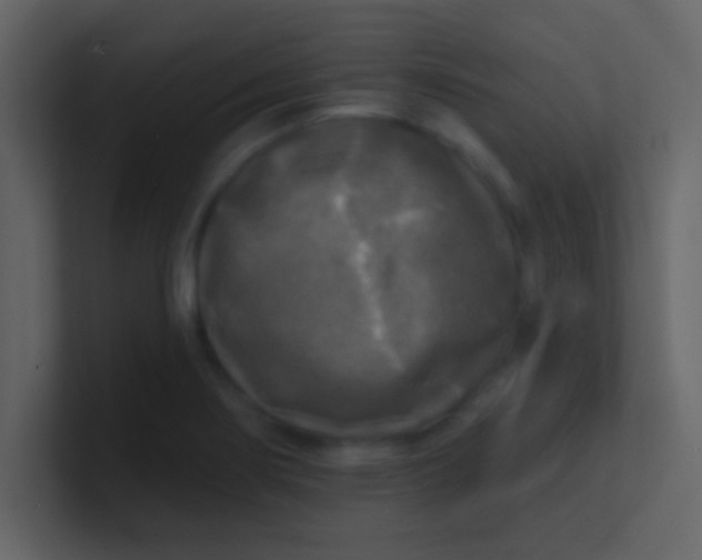 X0000100841274200807070925