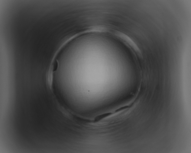 X0000100841276200807070925