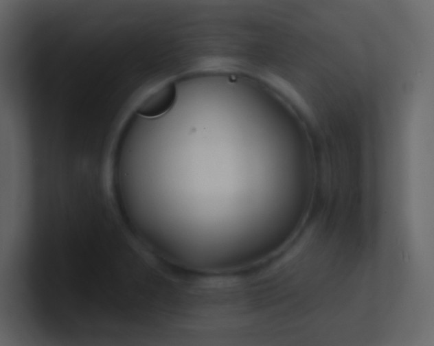 X0000100841277200807070925