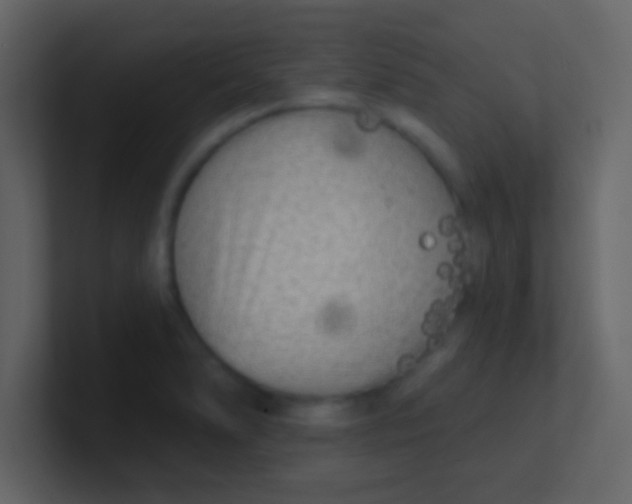 X0000100841278200807070925