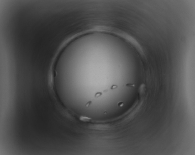 X0000100841280200807070925