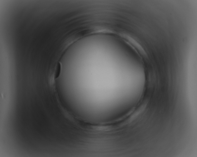 X0000100841281200807070925