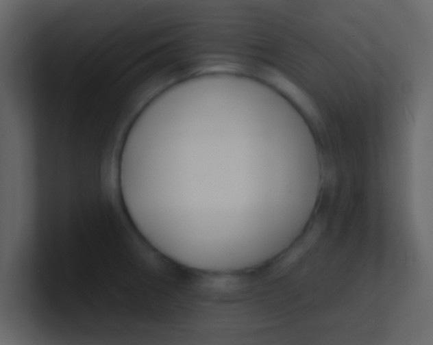 X0000100841282200807070925