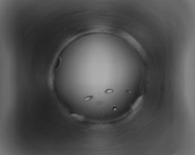 X0000100841284200807070925