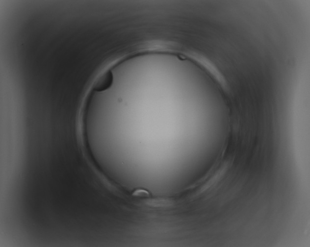 X0000100841285200807070925