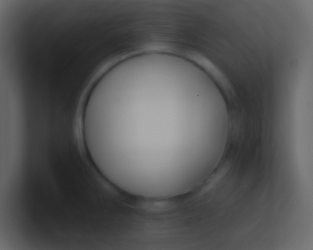 X0000100841286200807070925