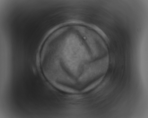 X0000100841287200807070925