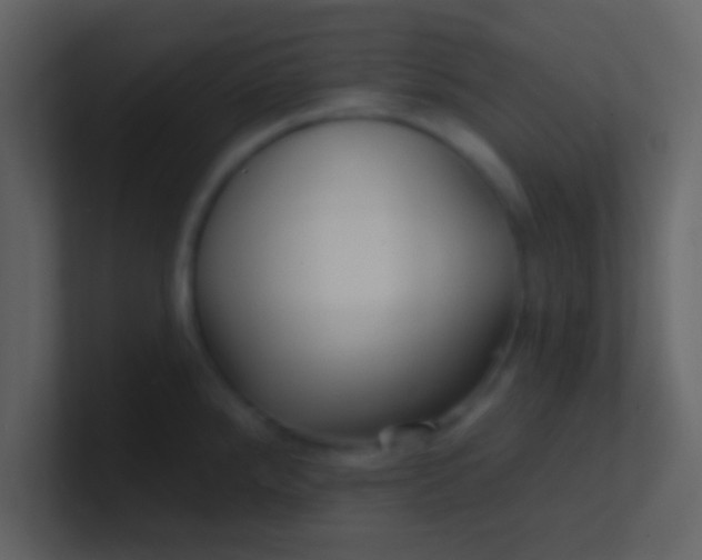 X0000100841288200807070925