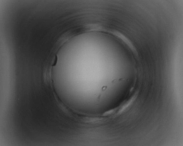 X0000100841289200807070925