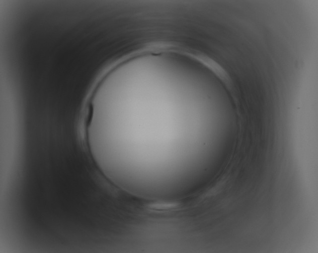 X0000100841296200807070925