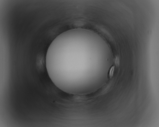 X0000100841299200807070924