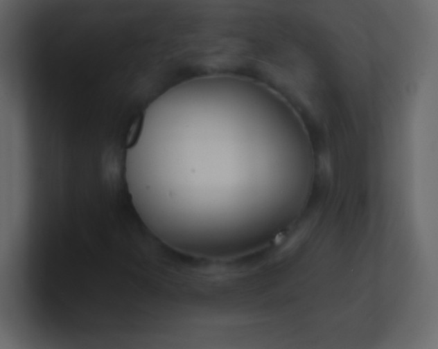 X0000100841300200807070924