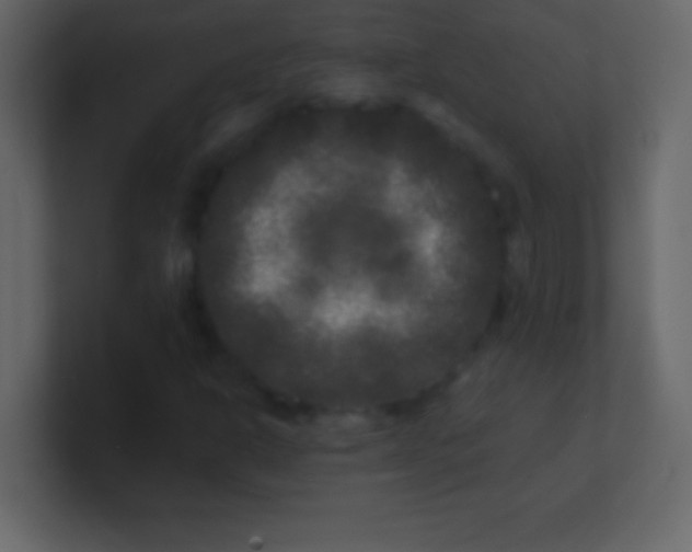 X0000100841302200807070924