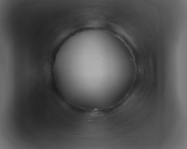 X0000100841304200807070924