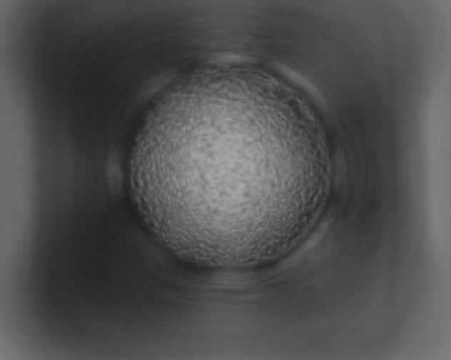 X0000100841305200807070924