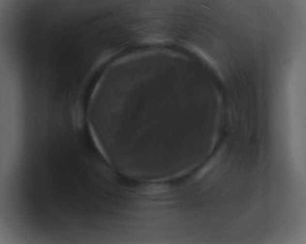 X0000100841306200807070924