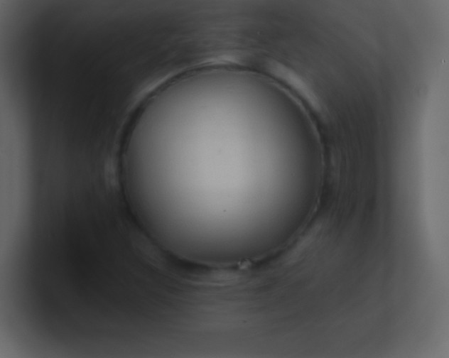 X0000100841308200807070924