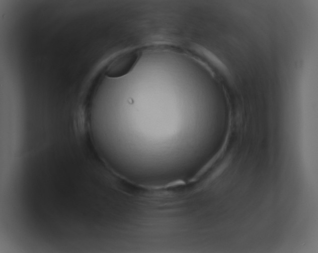 X0000100841310200807070925