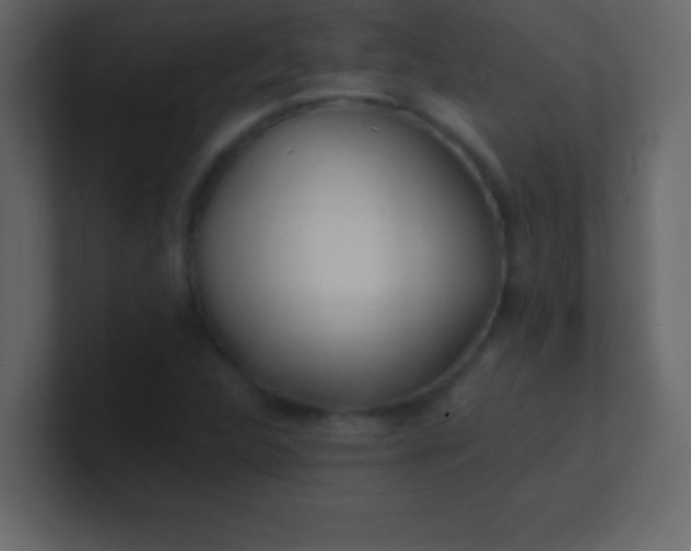 X0000100841312200807070925