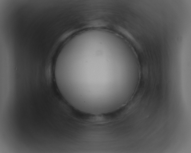 X0000100841315200807070925