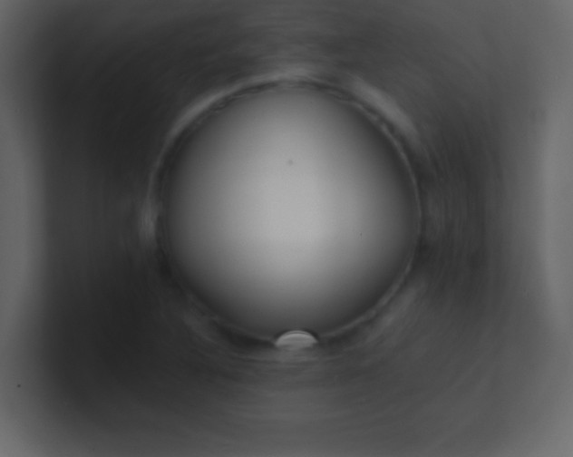 X0000100841316200807070925